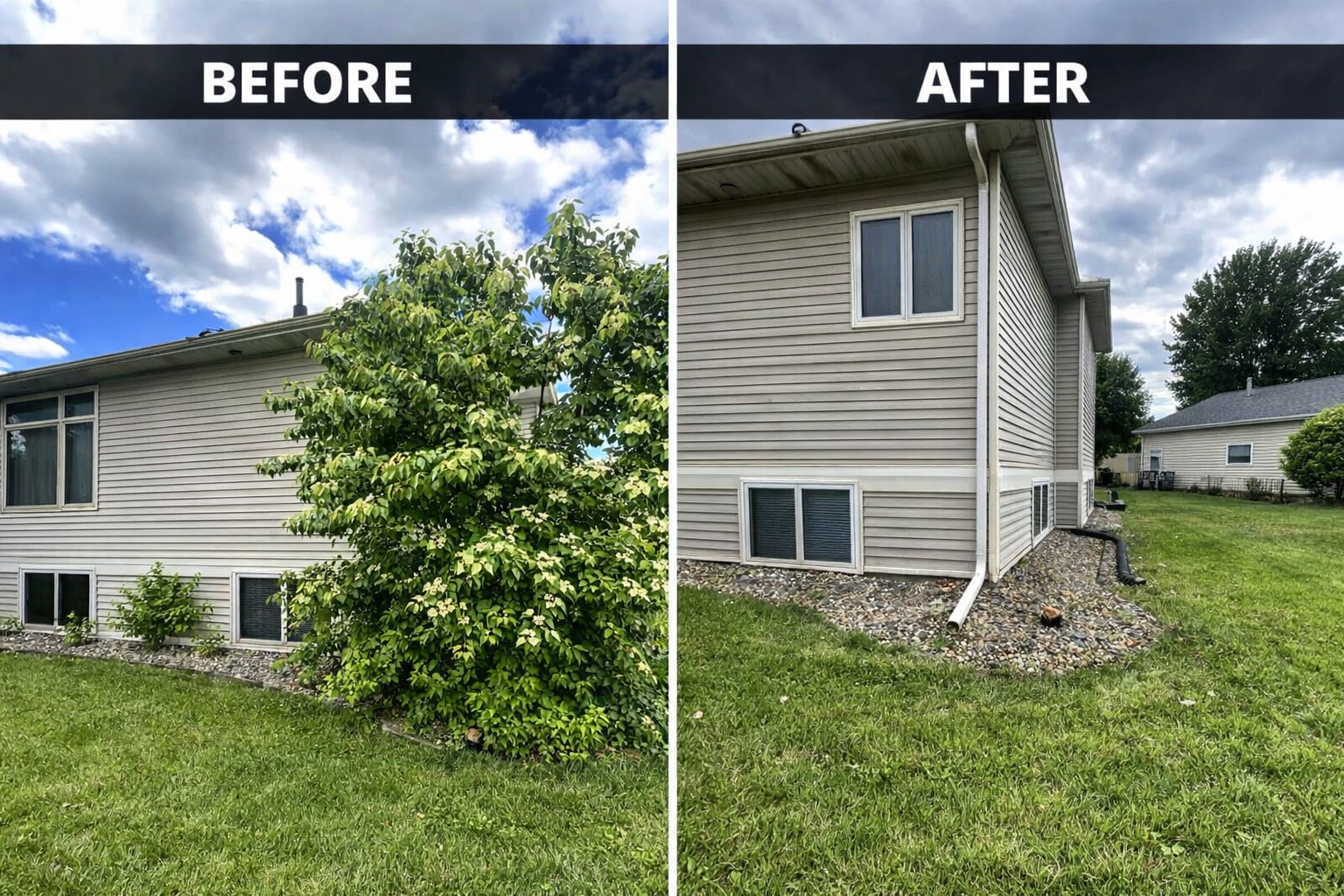 Before and after: overgrown bush removal beside house